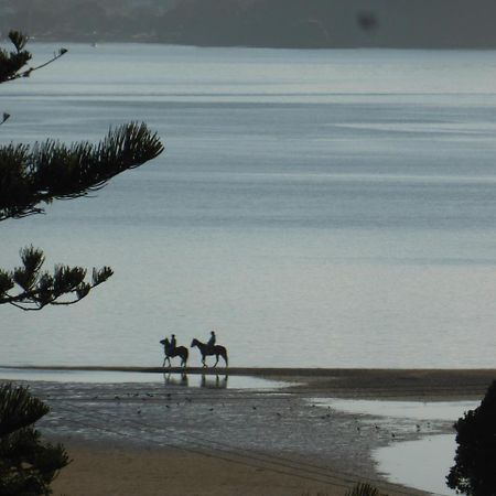 Changing Tides Bnb Paihia Extérieur photo
